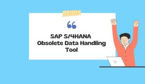 SAP S/4HANA Obsolete Data Handling Tool